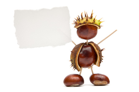 Series of Isolated on white autumnal scenesの写真素材