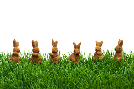 Easter Grass border, cutout, bunnies in a rowの写真素材