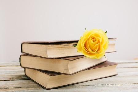Yellow rose as sign of romance in a vintage book on tableの写真素材