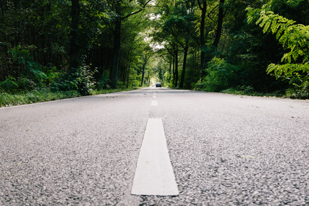 Road leading through forest into the distance, way forward traffic concept
