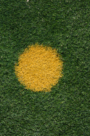 Green artificial grass details as sports field texture backgroundの写真素材