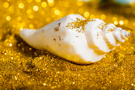 Close-up to ocean shell on gold glitter sand beach decorationの写真素材