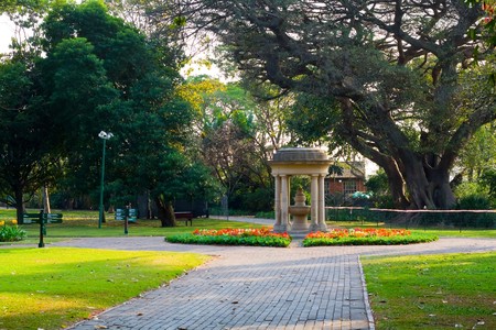 gardenの写真素材