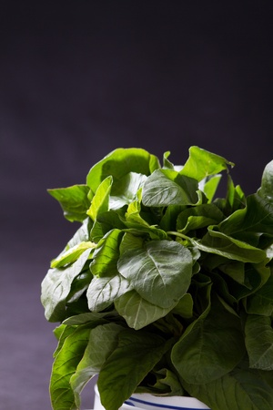 green leafy vegetable over black backgroundの写真素材