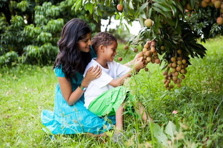 young happy mother and son picking litchis in litchi orchardの写真素材