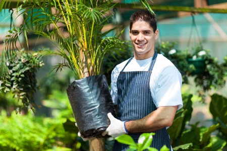 young gardener working in nurseryの写真素材