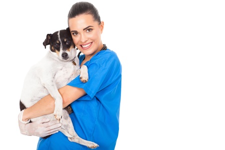 beautiful female vet doctor hugginh pet dog