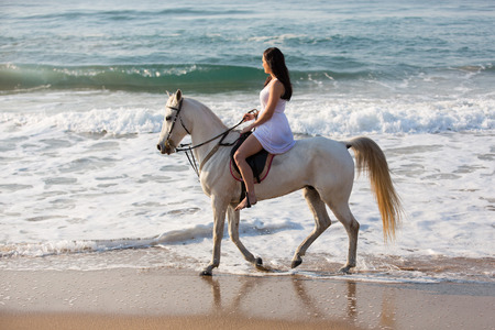 side view of young woman horse ride on beach in the morning の写真素材