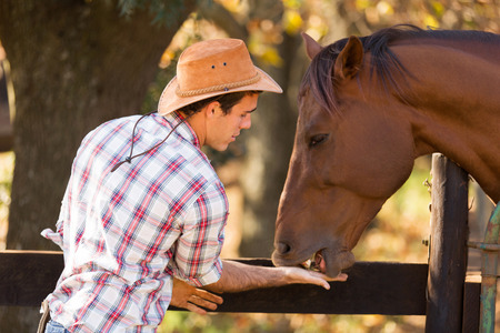 cowboy feeding a horse out of handの写真素材