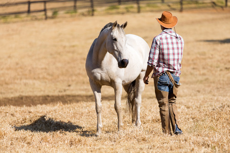 rear view of cowboy and horse の写真素材