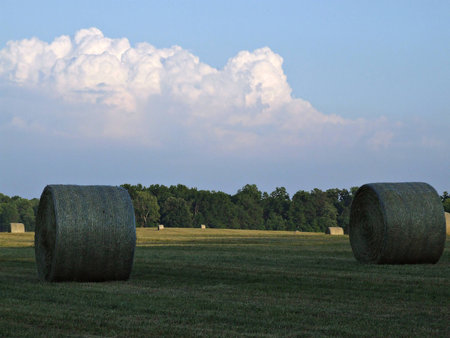 Hay bales at Virginia Farmの写真素材
