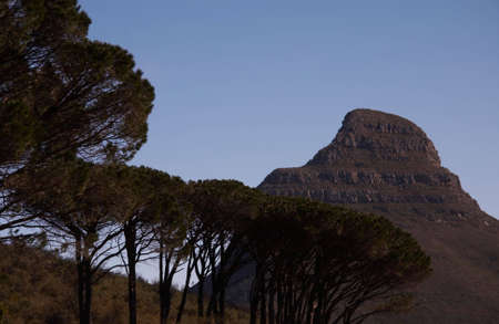 View with Lion's Head mountainの写真素材