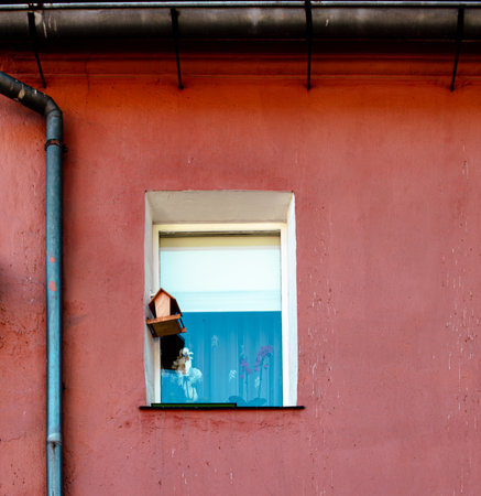 Birdhouse placed outside a window on a pink wall in a quiet neighborhood, showing a tranquil moment...