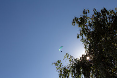 Paraglider soaring through the blue sky near a tree in the afternoon sun