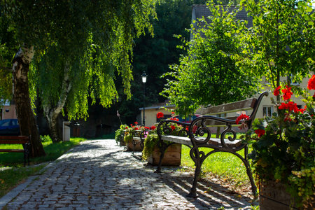 Beautiful garden path with benches surrounded by vibrant flowers during a sunny afternoonの写真素材