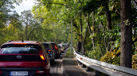 Long line of cars in a wooded area during autumn with vibrant foliage and clear