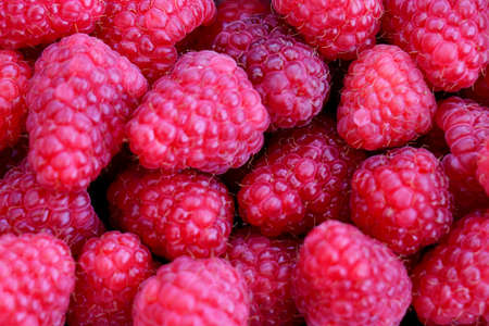 Pile of pink Raspberries on fruit market - backgroundの写真素材
