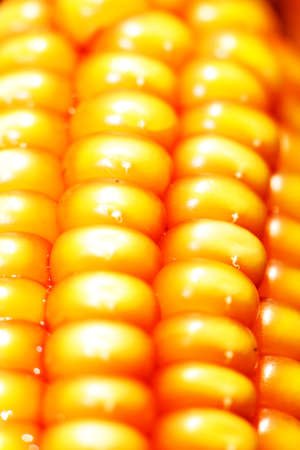 Corn detail - extreme close up, verticalの写真素材