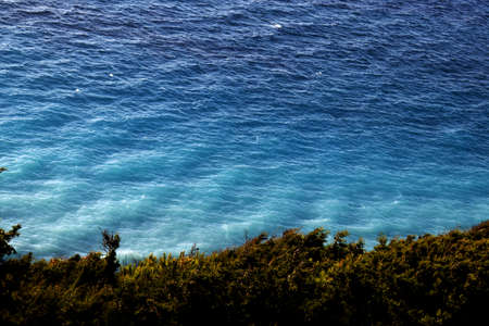 Turquoise ocean and green bushes on the coastの写真素材