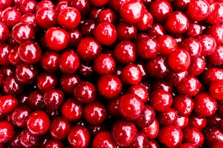 Heap of red cherry fruits with water drops on it - backgroundの写真素材
