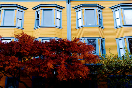 Wooden vintage yellow and bright blue house with colorful trees in autumn