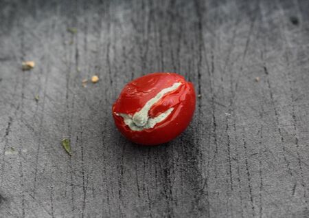 close up of Rotten cherry tomato on black cutting board backgroundの写真素材