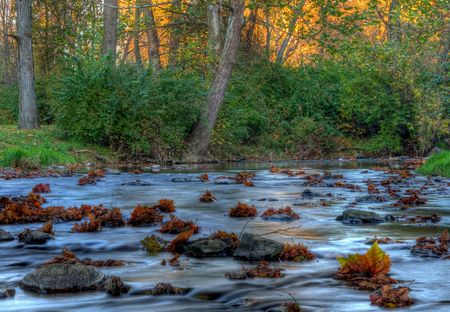 Autumn stream shot in high dynamic range.の写真素材