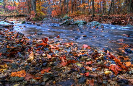 Indian Run Creek, Pennsylvania in Autumn.の写真素材