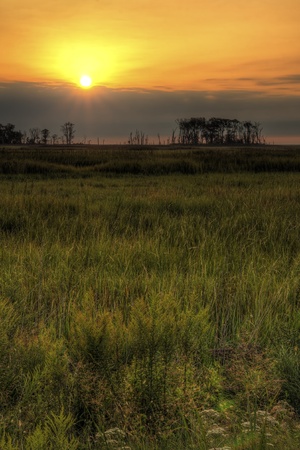 Sunrise over the marsh land at Bombay Hook wildlife refuge.の写真素材