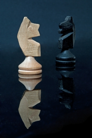 chess piece の写真素材