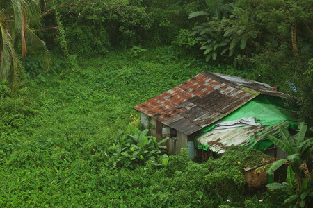 Old house made by rusty zinc sheets in the middle of green forestの写真素材