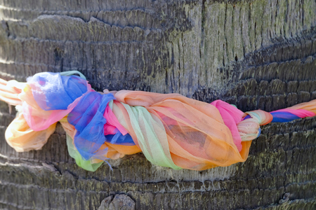 Closeup of multi color silk fabric binding a trunk of an old tree