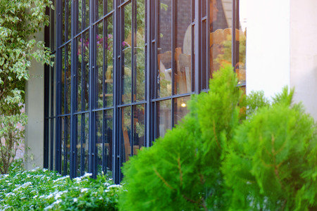Outdoor windows of a dining room closed to fresh green gardenの写真素材