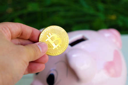 Closeup man's hand holding golden bitcoin coin for saving into piggy bank