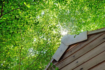 Top front part of wood house with fresh green color of tree leafs