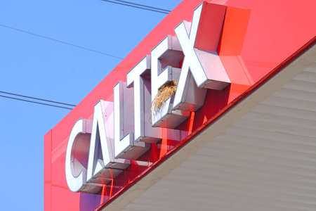 NONTHABURI THAILAND - 6th MARCH 2021: Bird nest on banner of CALTEX Gas Station in boundary of capital city in Thailand during lockdown situation, no transportation between city because of Covid-19のeditorial素材