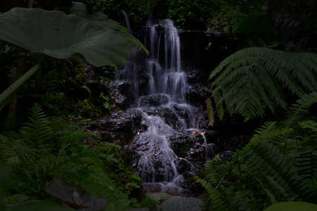 Discovering mysterious hidden waterfall in the dark deep forest