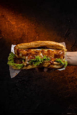 Delicious Beef Hotdog with mozzarella, fried egg, tomato, lettuce and chili sauce.の写真素材