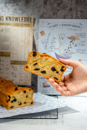 Chocolate Babka or Brioche Bread is prepared with a yeast-leavened dough that is rolled out and...