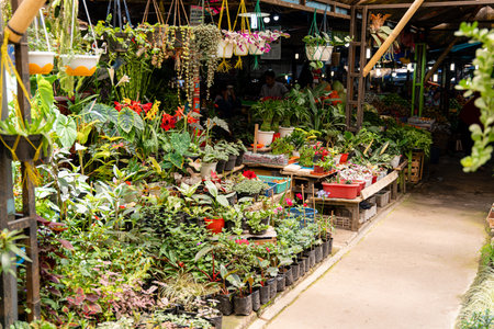 BERASTAGI, INDONESIA - SEPTEMBER 28,2021. Berastagi Fruit Market, North Sumatra a regionally famous traditional market selling local fruits souvenirs. Berastagi is famous for its passion fruit.のeditorial素材