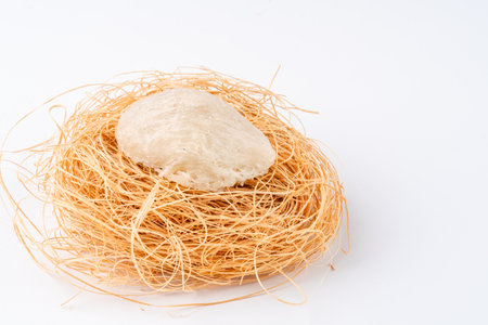 Top Grade edible bird nest shoot on white background with negative space. Raw edible bird's nest materials for tradition chinese medicine. Swallow nest the traditional chinese delicacy.の写真素材