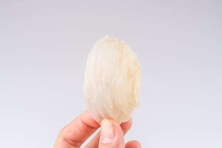 Top Grade edible bird nest shoot on white background with negative space. Raw edible bird's nest materials for tradition chinese medicine. Swallow nest the traditional chinese delicacy.の写真素材
