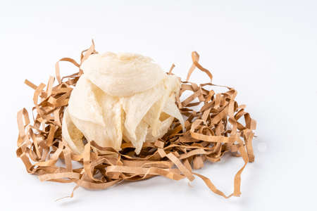 Top Grade edible bird nest shoot on white background with negative space. Raw edible bird's nest materials for tradition chinese medicine. Swallow nest the traditional chinese delicacy.の写真素材