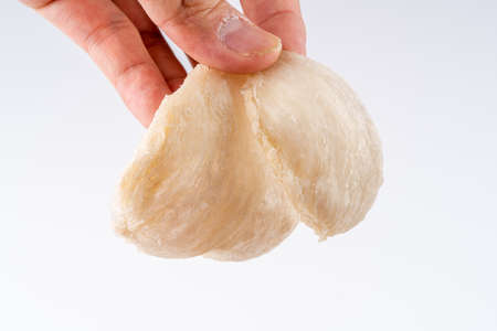 Top Grade edible bird nest shoot on white background with negative space. Raw edible bird's nest materials for tradition chinese medicine. Swallow nest the traditional chinese delicacy.の写真素材