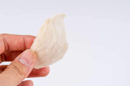 Top Grade edible bird nest shoot on white background with negative space. Raw edible bird's nest materials for tradition chinese medicine. Swallow nest the traditional chinese delicacy.の写真素材