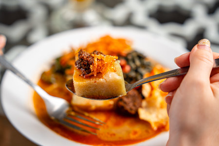 vegetable rice cake is an Indonesian traditional rice dish made of pieces of lontong served in coconut milk soup with shredded chayote, tempeh,tofu, hard-boiled egg, sambal,rendangの写真素材