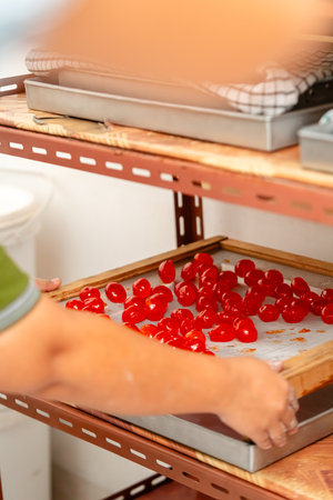 Chinese golden salted duck egg yolkの写真素材