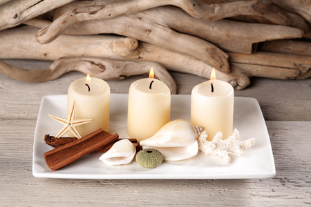 Plate decoration with candles, Shells, Starfish, Coral and woodの写真素材