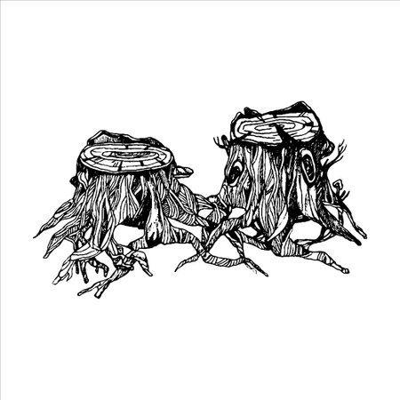 Stump hand drawn illustration , wood design, forest elements, tattoo design, stump drawingのイラスト素材