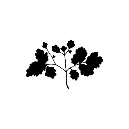 Logo element, clipart, nature, outline, tattoo, handdrawn, drawingのイラスト素材